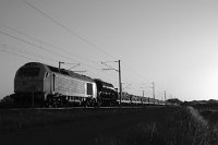 rail-9020