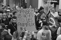 manifestation-128641