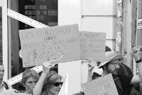 manifestation-128658