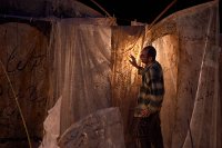 Merci_Facteur-104661