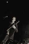 dandydub-86472