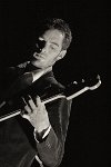 dandydub-86508